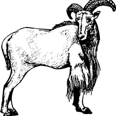 RAM001 Thumbnail