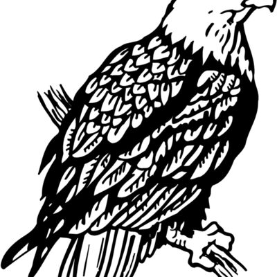 EAGLE024 Thumbnail